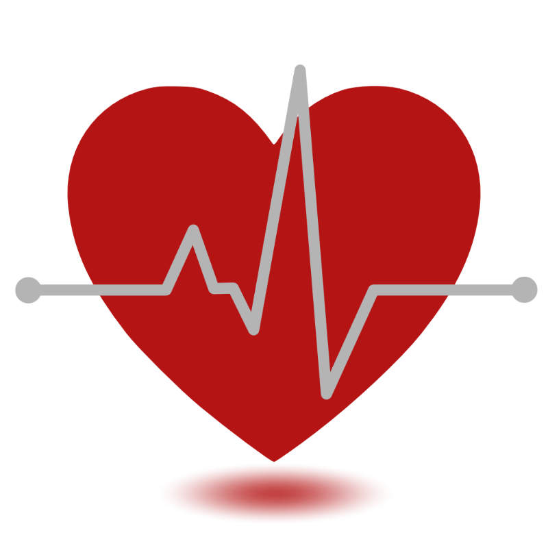 Herz mit EKG Kurve